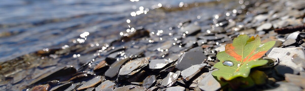 Rocks on a beach
